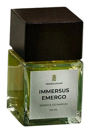 Immersus Emergo by Federico Fumo