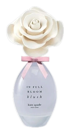 In Full Bloom Blush by Kate Spade