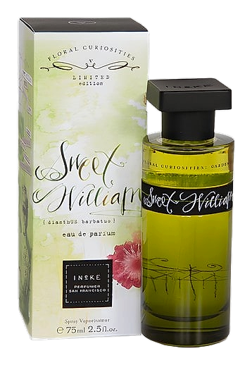 Sweet William by Ineke