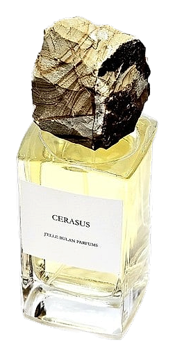 Cerasus