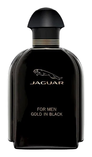 Gold in Black by Jaguar