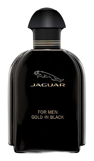 Jaguar For Men Gold In Black by Jaguar