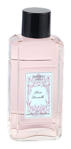 Rose Eternelle by Jardin de France