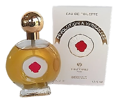 Revolution à Versailles by Jean Desprez