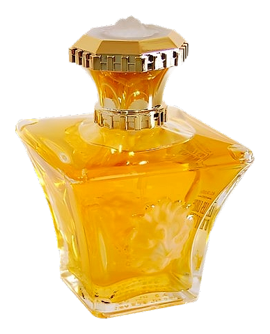 Les Lions D'Arthes 2001 by Jeanne Arthes