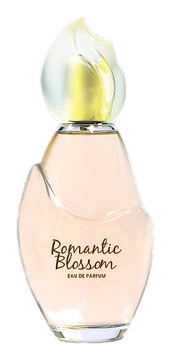 Romantic Blossom by Jeanne Arthes