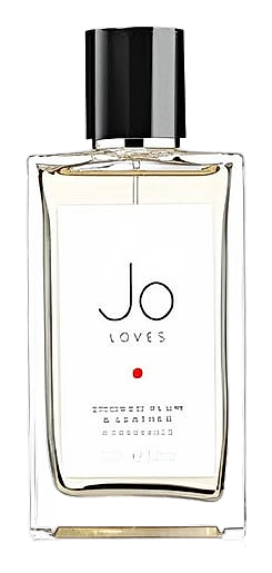 Smoked Plum & Leather by Jo Loves