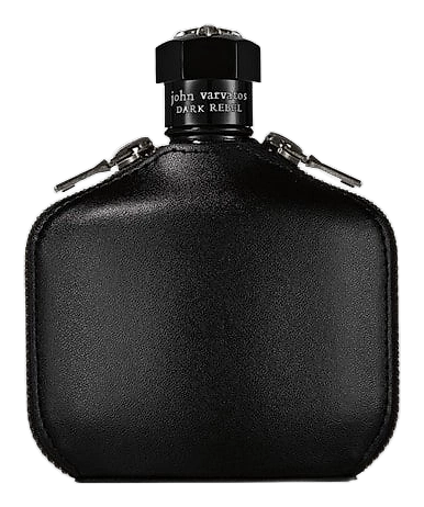John Varvatos Dark Rebel Rider
