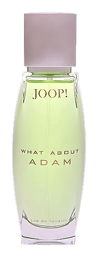 What About Adam by Joop!