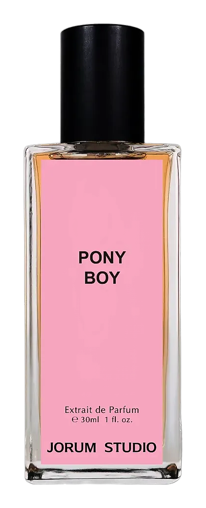 Pony Boy by Jorum Studio