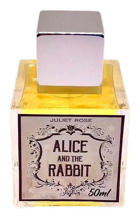 Alice & The Rabbit by Juliet Rose
