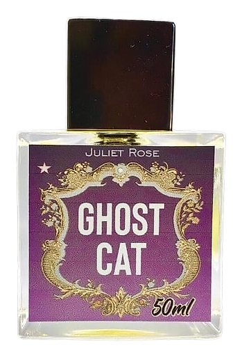 Ghost Cat by Juliet Rose