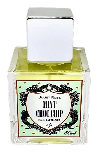 Mint Choc Chip Ice Cream by Juliet Rose