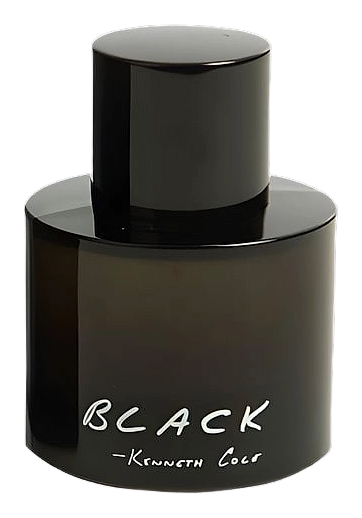 Kenneth Cole Black for Men