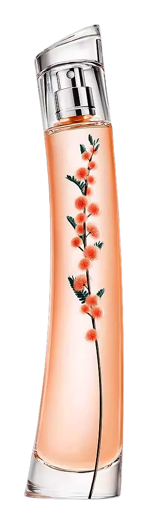 Flower Ikebana Mimosa by Kenzo