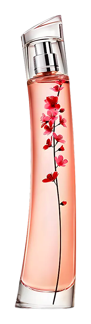 Flower Ikebana Sakura by Kenzo