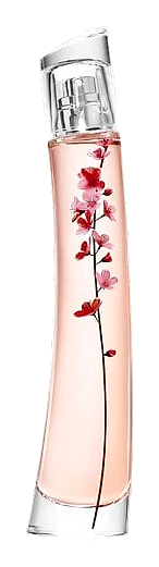 Flower Ikebana by Kenzo