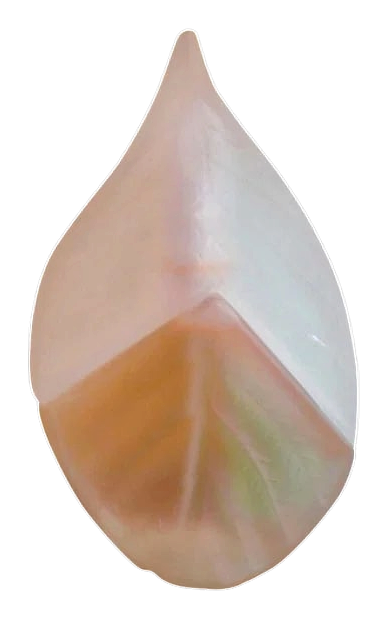Parfum d'Été (Eau de Toilette) by Kenzo