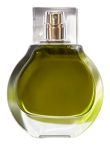 Olive by KKW Fragrance