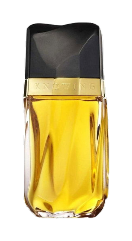 Knowing by Estée Lauder – Eau de Parfum