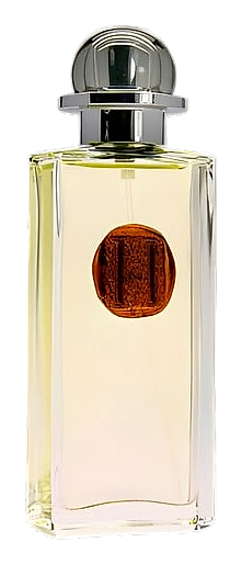 Helianthe by L'Atelier Boheme