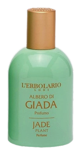 Jade Plant by L'Erbolario