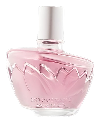Ninfa das Águas Fascínio by L’Occitane Au Brésil