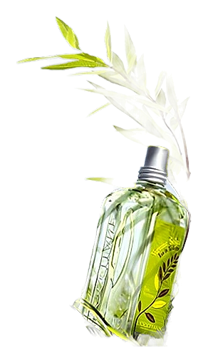 Verbena Sun by L'Occitane en Provence