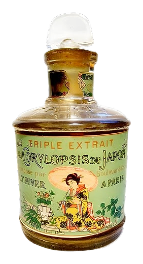 Corylopsis du Japon by L.T. Piver – Extrait de Parfum