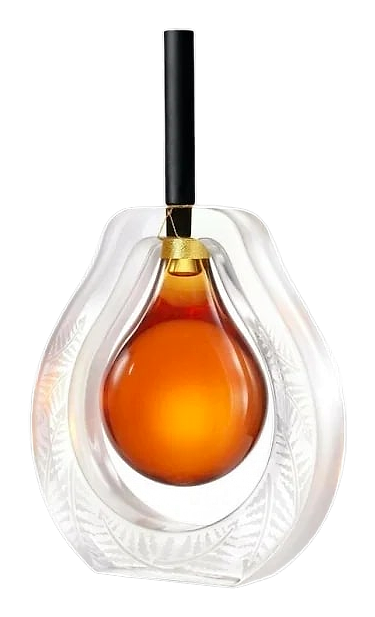 Flacon Fusion by Lalique – Eau de Parfum