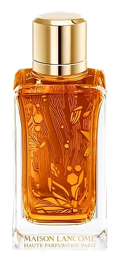 Oud Ambroisie by Lancôme