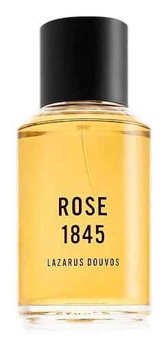 Rose 1845 by Lazarus Douvos
