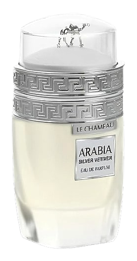 Arabia Silver Vetiver by Le Chameau