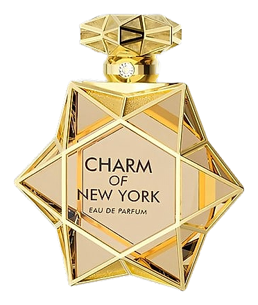 Charm of New York by Le Chameau