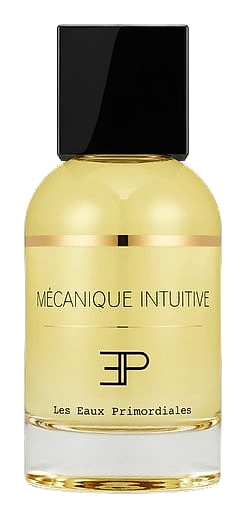 Mécanique Intuitive by Les EAUX Primordiales