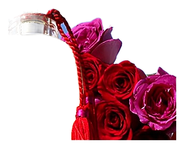 Parfums Rose by Les Parfums de Rosine – Eau de Parfum