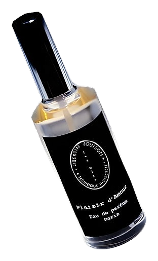 Plaisir d' Amour by Libertin Louison Technique Indiscrete