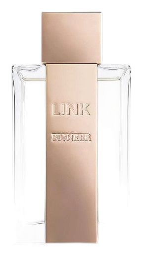 Pioneer by LINK