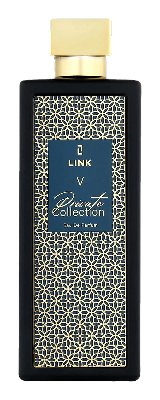 V by LINK