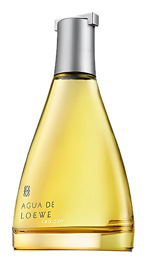 Agua De Loewe Cala D'or by Loewe