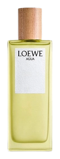 Agua De Loewe by Loewe