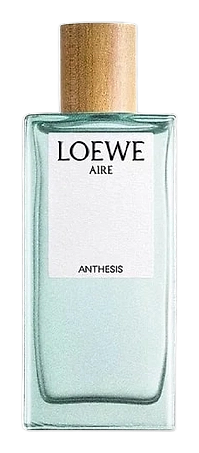 Aire Anthesis by Loewe