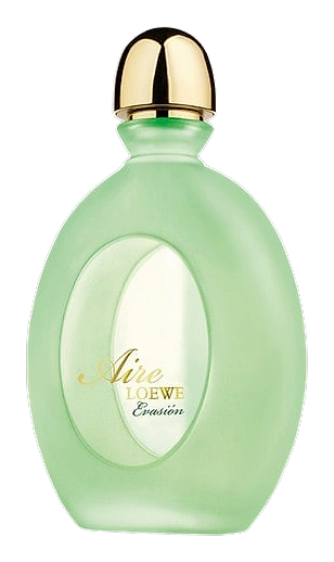 Aire Evasion by Loewe