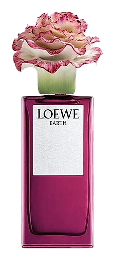Earth x Lladró by Loewe