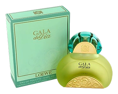 Gala de Dia by Loewe