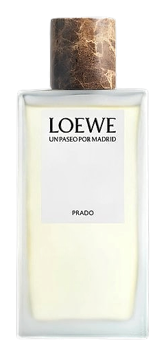 Prado by Loewe