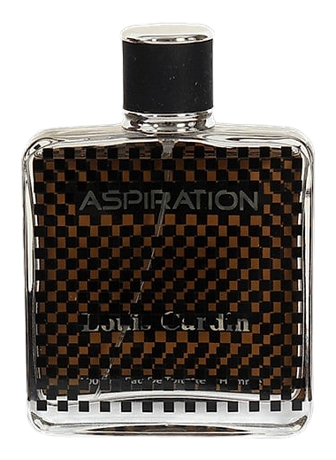Aspiration by Louis Cardin