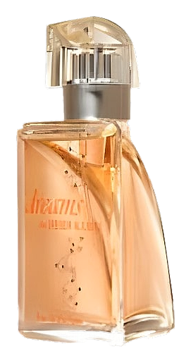 Heidi Klum Dreams by LR