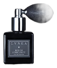 Bois de l'Obscurité by Lvnea