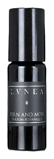 Fern And Moss by Lvnea